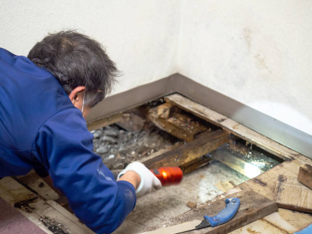 Best Bathroom Mold Remediation in Lavalette, WV