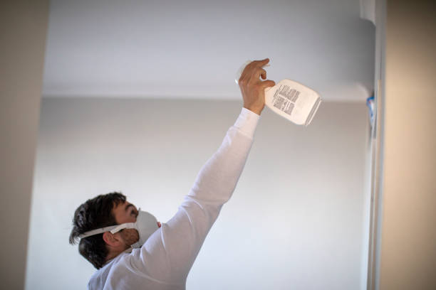 Best Basement Mold Remediation in Lavalette, WV