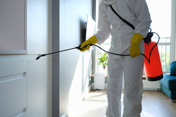 Best Kitchen Mold Remediation in Lavalette, WV